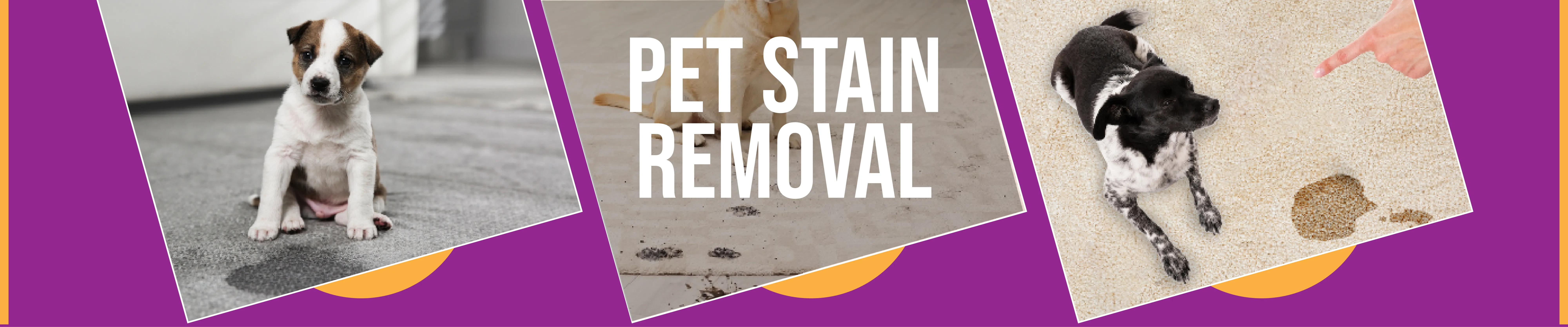 carpet cleaning in the westchester, carpet cleaning in the westchester, carpet cleaning the westchester, carpet cleaners in the westchester, carpet cleaners in the westchester, commercial carpet cleaning, commercial carpet cleaning in the westchester, the westchester rug cleaners, rug cleaning services in the westchester, same day carpet cleaning, same day rug cleaning