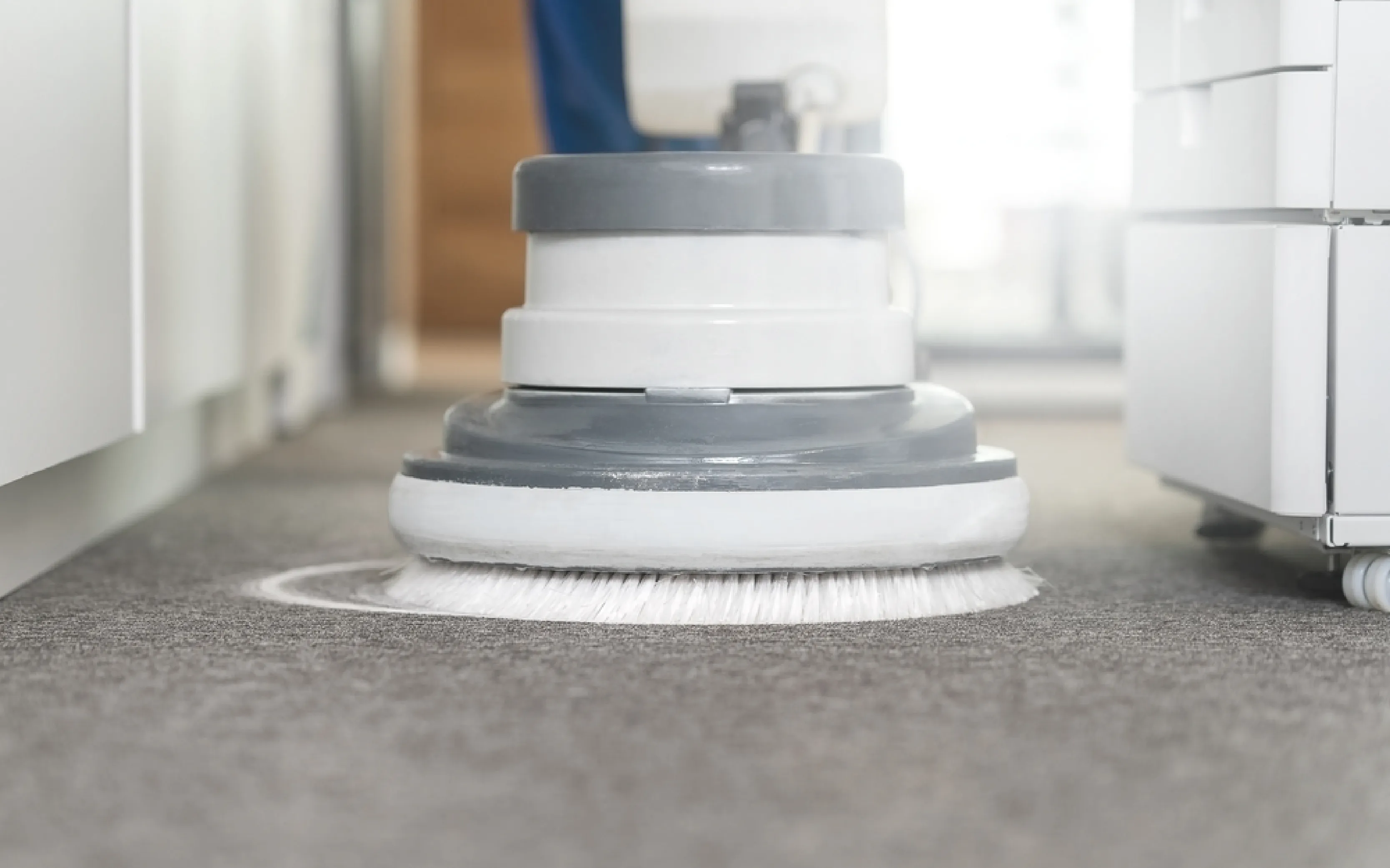 carpet cleaning in the westchester, carpet cleaning in the westchester, carpet cleaning the westchester, carpet cleaners in the westchester, carpet cleaners in the westchester, commercial carpet cleaning, commercial carpet cleaning in the westchester, the westchester rug cleaners, rug cleaning services in the westchester, same day carpet cleaning, same day rug cleaning